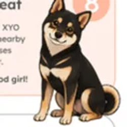 Suki