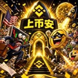 上币安 / BNB