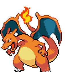 CHARIZARD / SOL