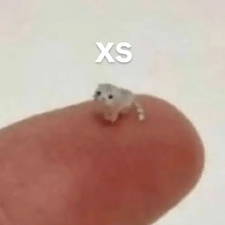 ᶜᵃᵗ