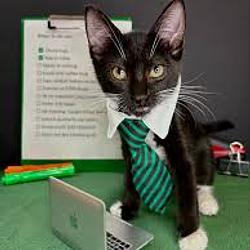 COMPCAT