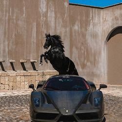 FHORSE