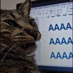 AAAAAAAAAA / BNB