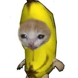 BananaCat