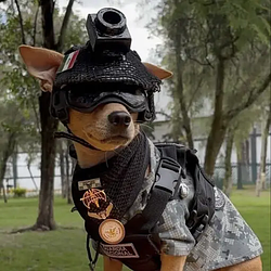 COMMANDO