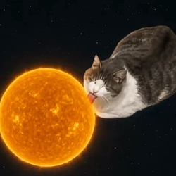 lickingcat