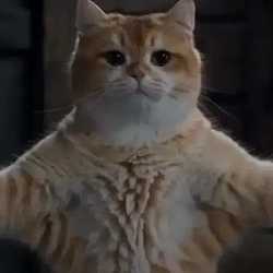 CATSLOP