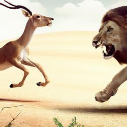 Gazelle and Lion logo