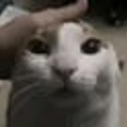 RCAT