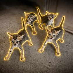 MEOWFIA