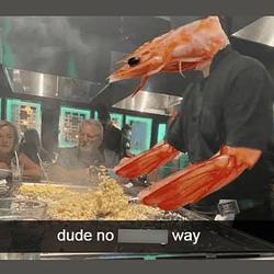 Shrimp