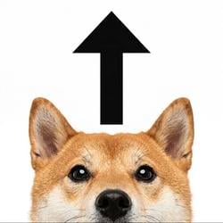 updog