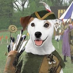 WISHBONE / WETH