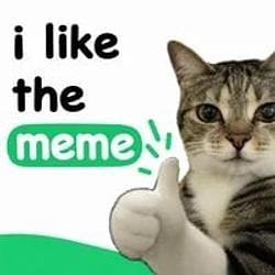 meme / SOL