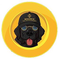 binancedog