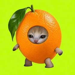OrangeCat / SOL