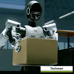 Techman