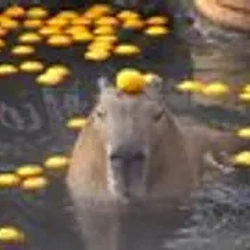capybarath