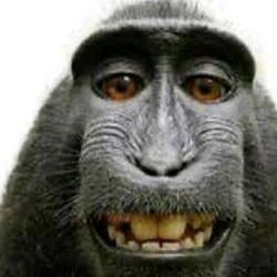 Sol / SOL