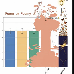 Foom or Foomy