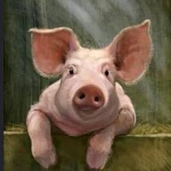 $piG