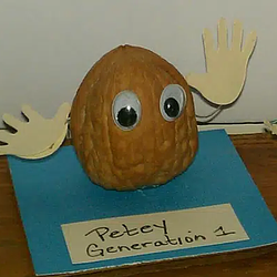 Petey