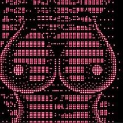 boobies