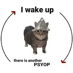 PSYOP / SOL