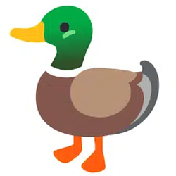 FancyDucky