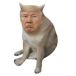 CASHTRUMP / SOL