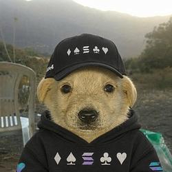SOLDOG