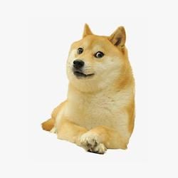 wrdog / SOL