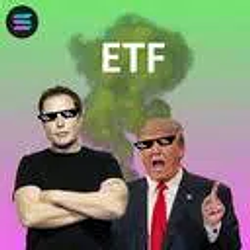 ETF500