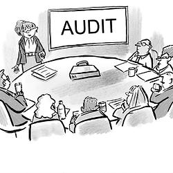 AUDIT