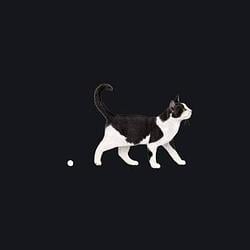 .cat / WETH