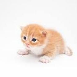 gary
