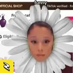 PETAL / USDC