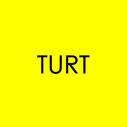 TURTLE / BNB