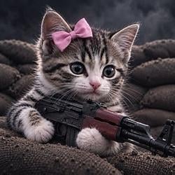 GUNCAT