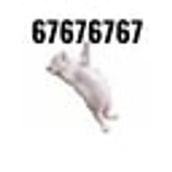 67cat