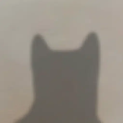 ZINU