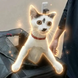 Koma