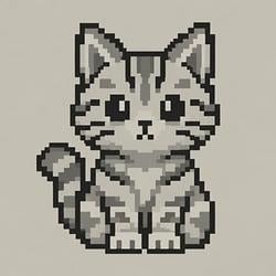 Gray cat