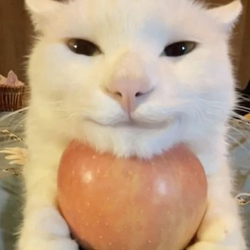 AAPLCAT