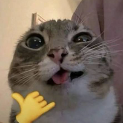 CC