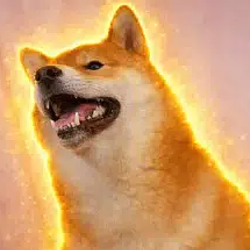Tofu / SOL