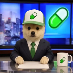 newsdog / SOL