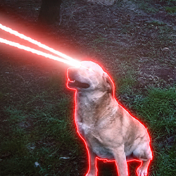 LASERDOG / SOL