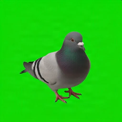 SP