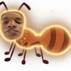 antsemwifglow